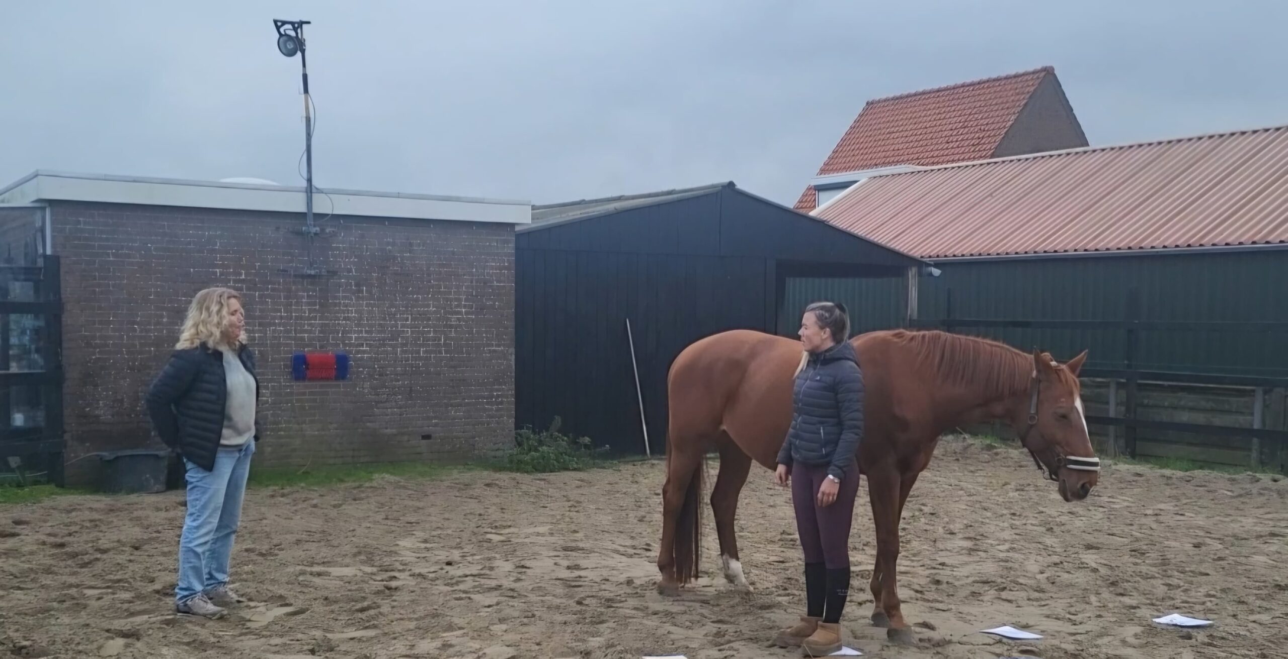 Paardencoaching